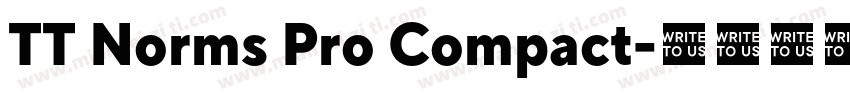 TT Norms Pro Compact字体转换